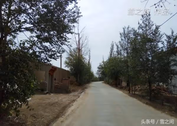 老爸爸假裝往生，女兒仍不回家，逢人就罵女兒不孝，女婿去上香後，老爸爸才知真相