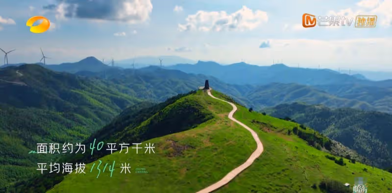 《中餐廳6》42歲殷桃好美！做客難度降低，轉眼就有了兩個大廚