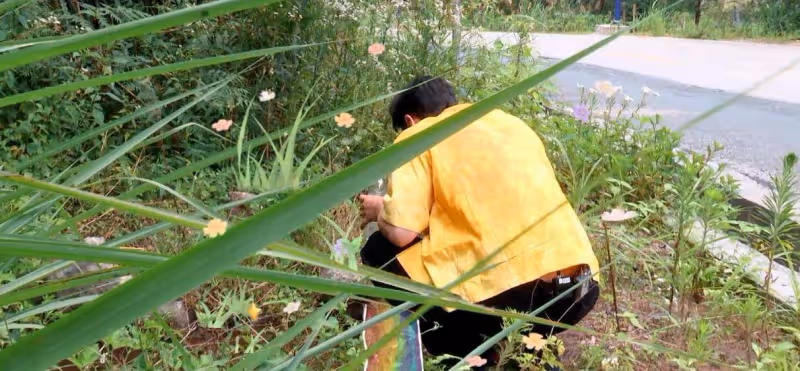 《中餐廳6》42歲殷桃好美！做客難度降低，轉眼就有了兩個大廚