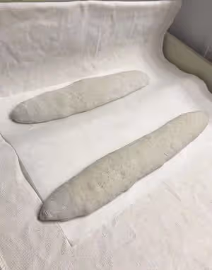 100%天然酵種/魯邦種法棍小結（18.12-19.05）