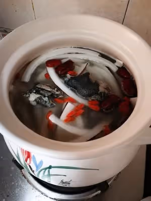 椰子烏雞湯