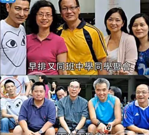 明星和同學合影,林志穎同學都不顯老,黃聖依少女時就像仙女下凡