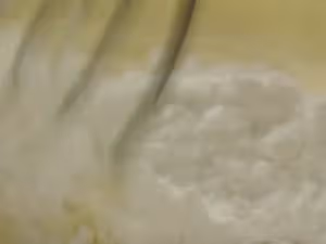 焦糖蘋果黃油脆芝士蛋糕
