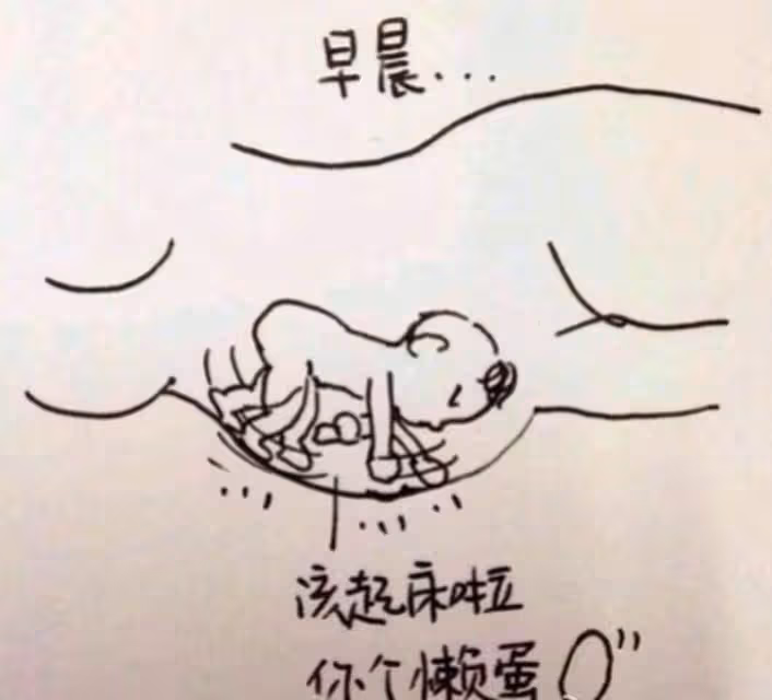 女性當媽後有多偉大?9張圖片把「懷孕時遭的罪」詮釋的淋漓盡致,瞬間破防了