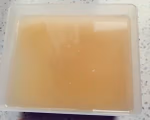 純小米蛋糕