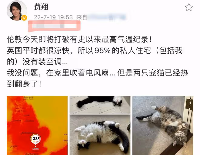 61歲費翔曬國外精緻生活,戴手錶金戒笑開懷,留絡腮鬍仍帥氣健碩