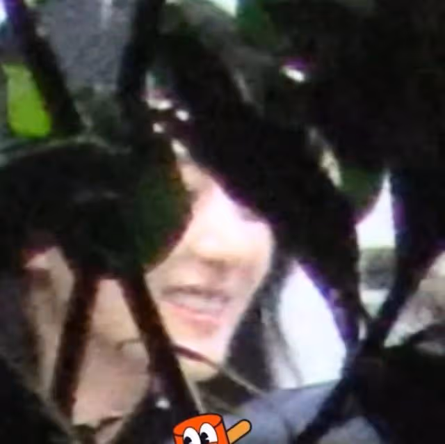 趙麗穎深夜醉酒,走路搖晃險摔倒,林更新連忙上前攙扶滿眼寵溺