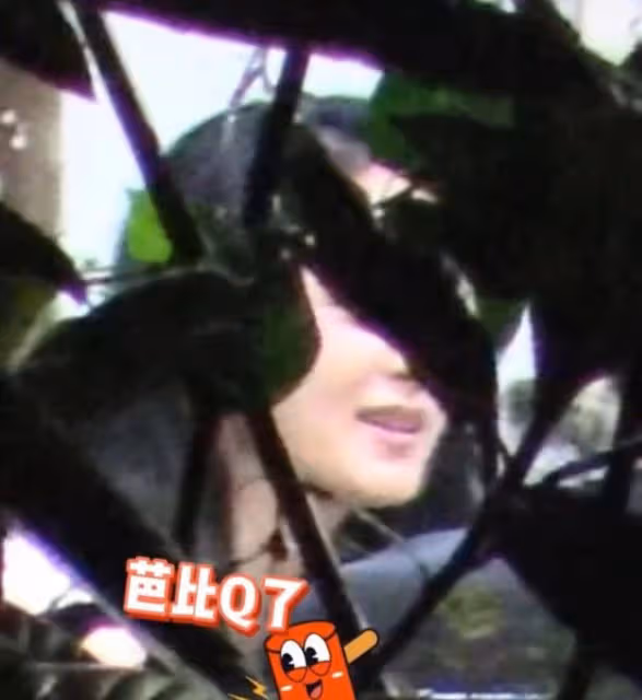 趙麗穎深夜醉酒,走路搖晃險摔倒,林更新連忙上前攙扶滿眼寵溺