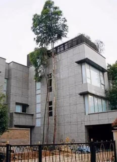 曬曬黎明在香港住的房子,外觀霸氣十足,院子種著參天大樹,比他家四層樓都要高