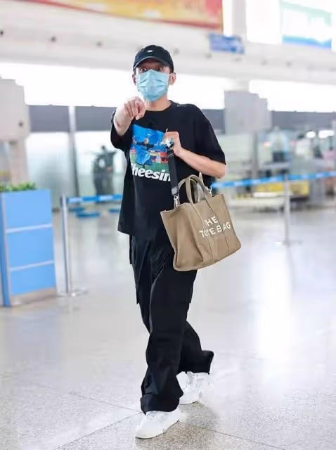 網曝李維嘉從芒果台辭職!已被官網除名,被傳進山靜養種地養花