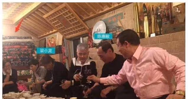 陳惠敏點評功夫明星：向華強街頭實戰很能打，甄子丹的功夫是雜技
