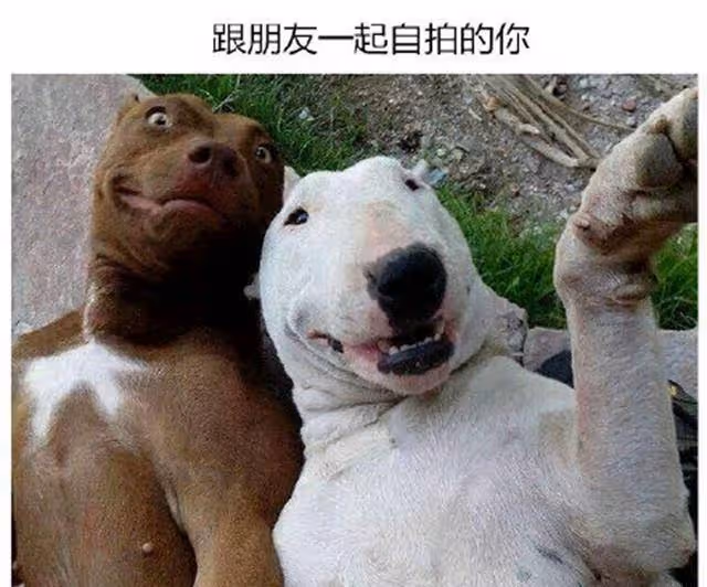 閨蜜老公:「記得上次,你說過段時間回請我,每天一到吃飯的時候,就想你!」