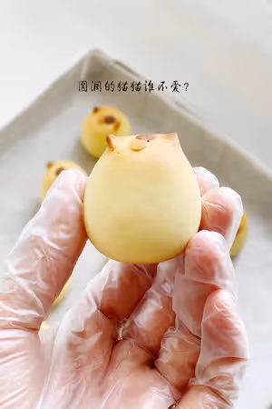 一起來擼貓啊——日式貓咪燒果子