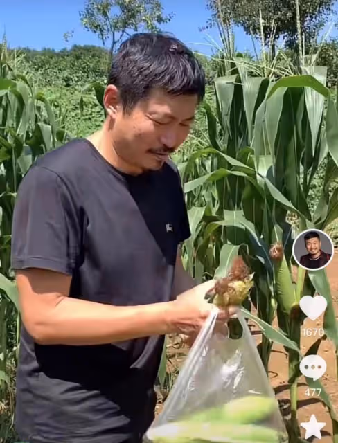 52歲亮劍戲骨在鄉村干農活,頭頂烈日摘農作物,曬到皺眉直接啃菜