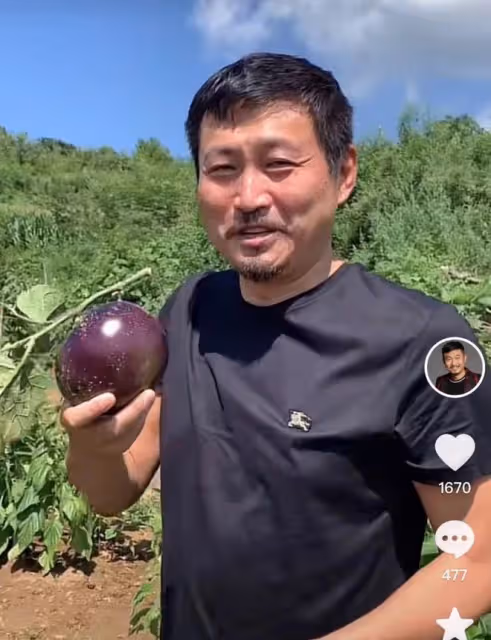 52歲亮劍戲骨在鄉村干農活,頭頂烈日摘農作物,曬到皺眉直接啃菜