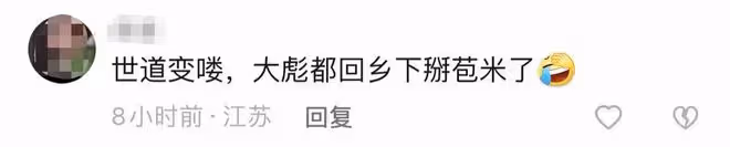 52歲亮劍戲骨在鄉村干農活,頭頂烈日摘農作物,曬到皺眉直接啃菜