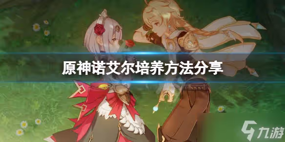 《原神》女僕怎麼培養 諾艾爾培養方法分享