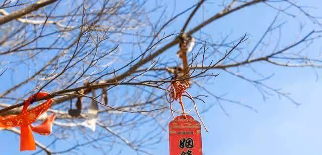孫怡，那個甜美女孩，離婚了