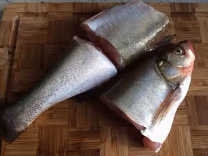 紅燒滷水白魚