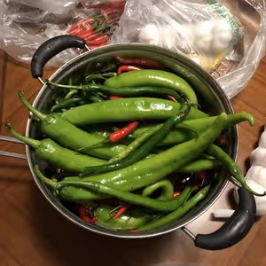 自製辣椒醬
