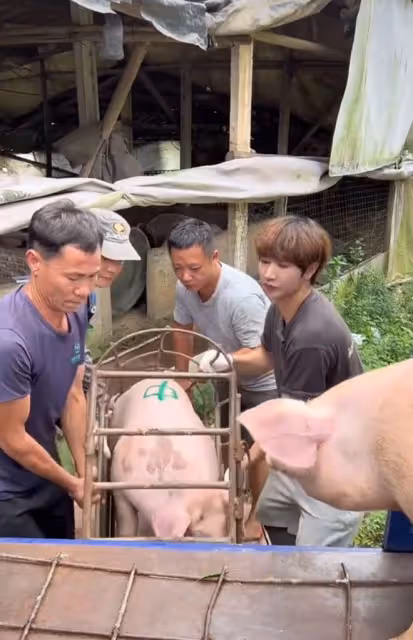 27歲偶像男星回廣東農村開農場!撿鴨蛋下魚塘捉魚,生活太接地氣