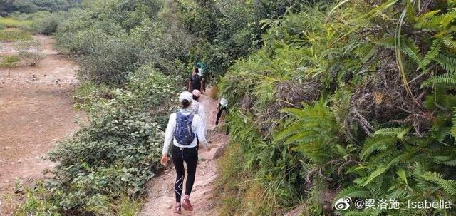 34歲梁洛施近況曝光!素顏亮相為貓咪慶生,住20億豪宅惹人羨