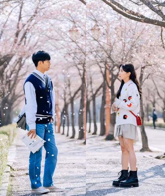 （依法相愛）李升基&李世榮變乖巧大學生&美貌校花，櫻花樹下告白