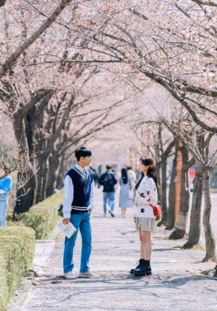 （依法相愛）李升基&李世榮變乖巧大學生&美貌校花，櫻花樹下告白