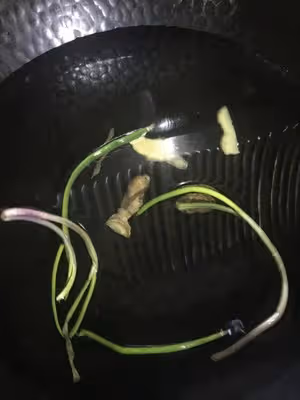 滷肉飯（小朋友也可以吃的喔）