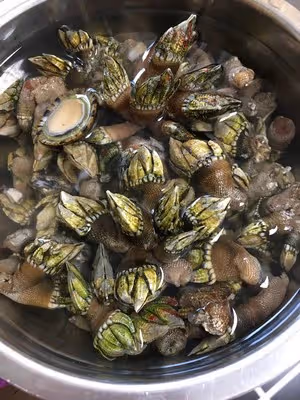 白灼佛手螺