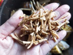 排骨香菇玉米蓮藕湯