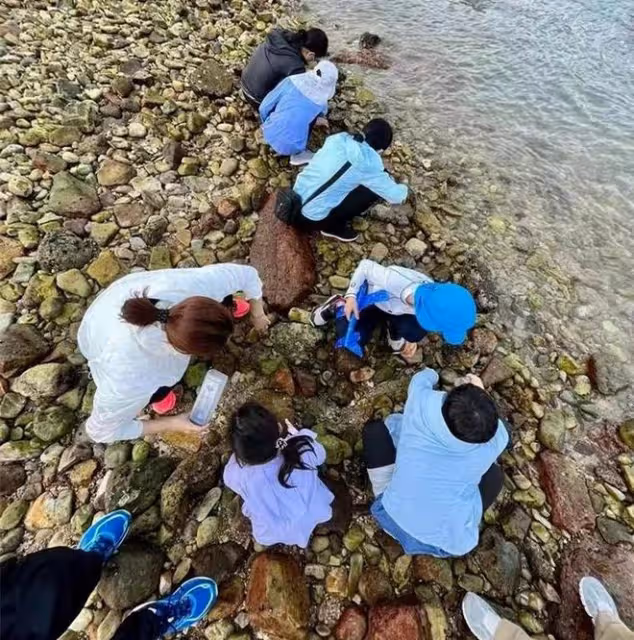 郭晶晶一家趕海!蹲地上徒手捉海鮮不嫌髒,收穫一大盆貝殼很開心