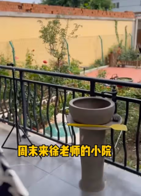 央視名嘴曬鄉村小院!鮮花滿園面積寬敞