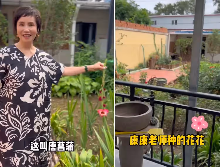央視名嘴曬鄉村小院!鮮花滿園面積寬敞