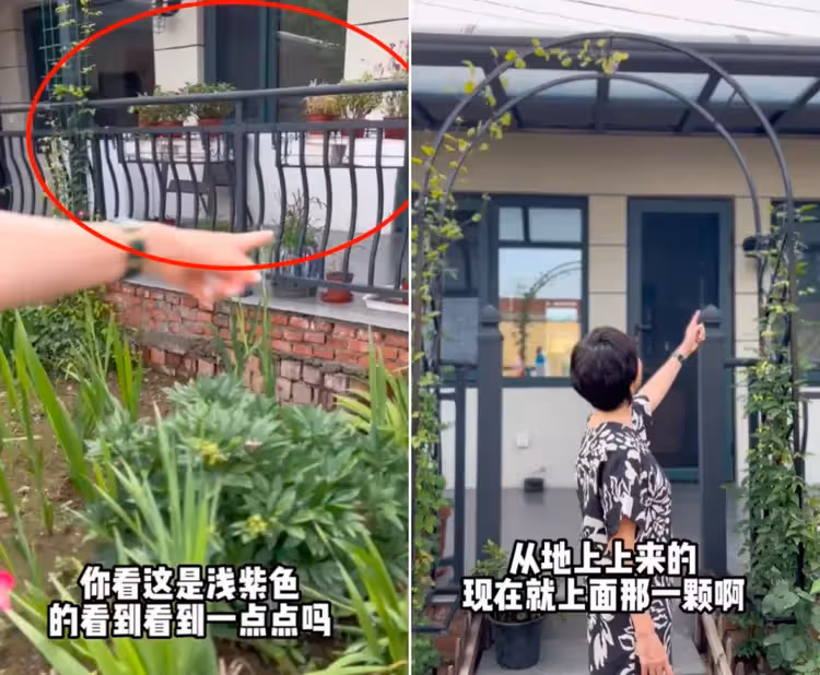 央視名嘴曬鄉村小院!鮮花滿園面積寬敞