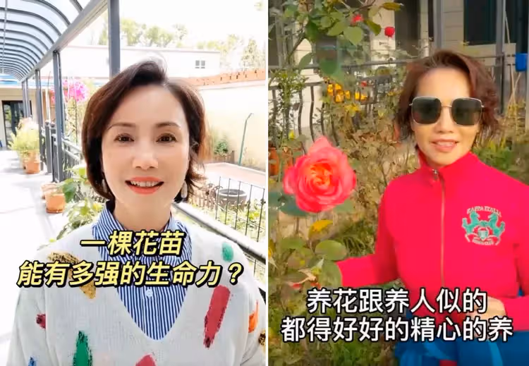 央視名嘴曬鄉村小院!鮮花滿園面積寬敞