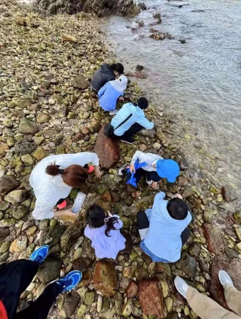 郭晶晶一家五口趕海！綁1元頭繩太樸素，如普通人蹲地徒手撿海鮮