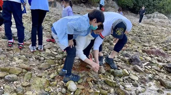 郭晶晶一家五口趕海！綁1元頭繩太樸素，如普通人蹲地徒手撿海鮮