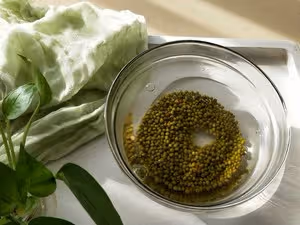 用礦泉水瓶生豆芽