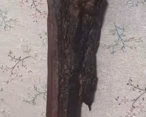 腌制醬油肉