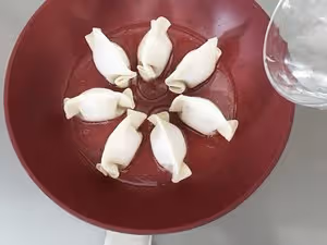 香脆美味的冰花煎餃