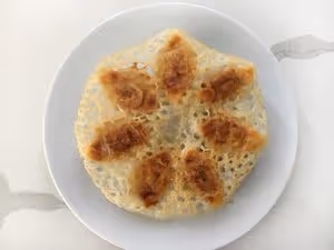 香脆美味的冰花煎餃