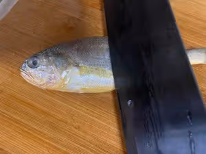 醬燒小黃魚（20塊錢平民海鮮的酒店做法）