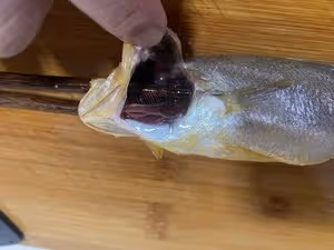 醬燒小黃魚（20塊錢平民海鮮的酒店做法）