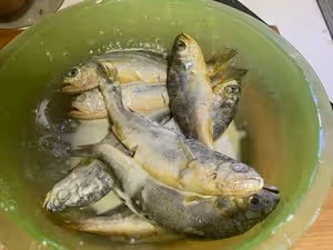 醬燒小黃魚（20塊錢平民海鮮的酒店做法）