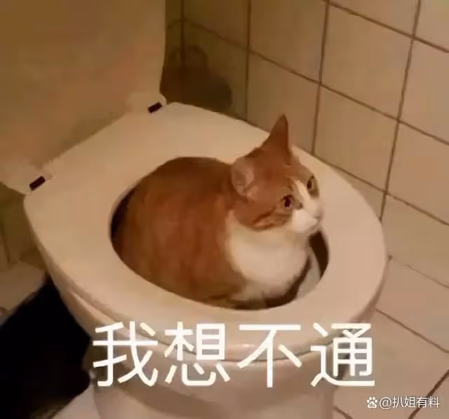 朴寒星生二胎,評論區卻一片謾罵,她做錯了什麼?