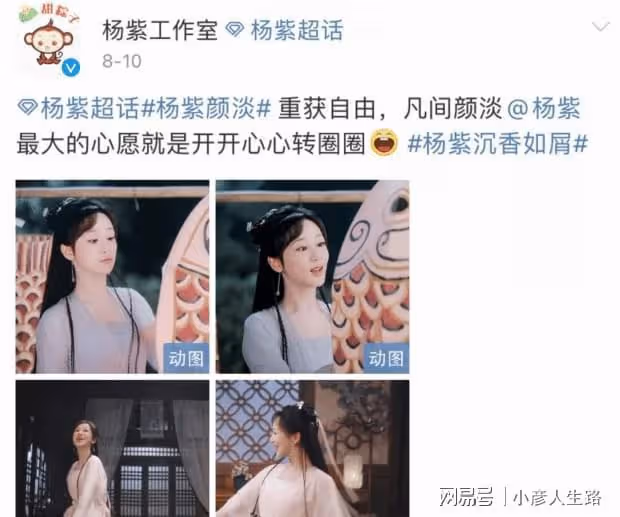 蛋糕風波過去三天後,楊紫工作室終於活了,評論區淪陷