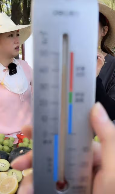 55歲港星湖南縣城擺攤賣水果，40度戴草帽似村婦，賣力吆喝無人買