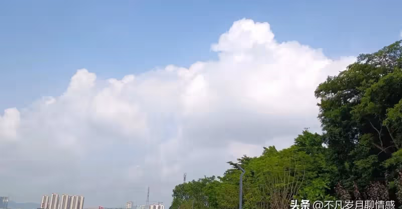 情感感悟，珍惜眼前人，呵護真感情