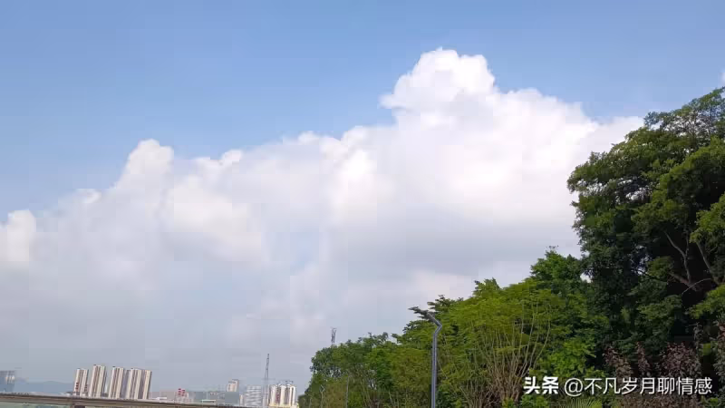 情感感悟,珍惜眼前人,呵護真感情
